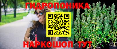 кокс Пугачёв