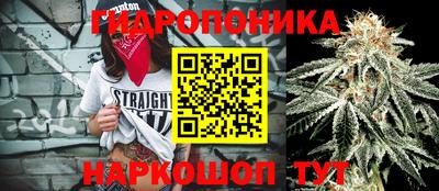 соль ск Пушкино