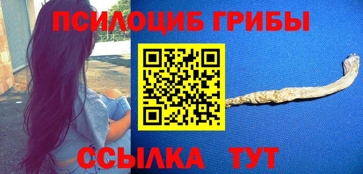 Псилоцибиновые грибы MAGIC MUSHROOMS Похвистнево